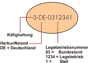 Darstellung der Kennzeichnung auf dem Ei