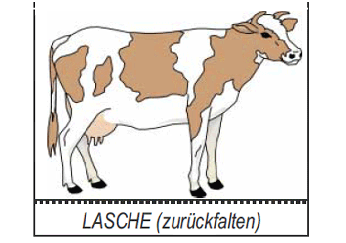 Abbildung Kuh